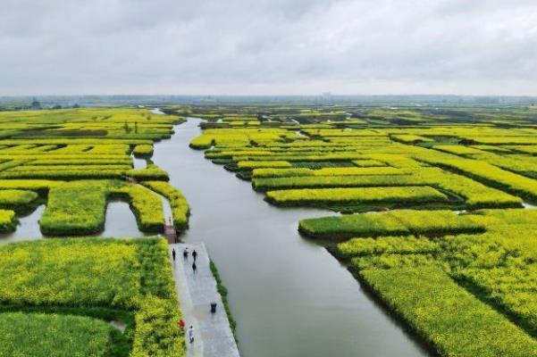 2021泰州兴化千垛景区十月游玩攻略