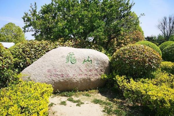 2021徐州龟山景区重阳节有哪些活动