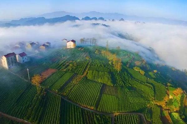 绍兴新昌旅游景点及推荐路线
