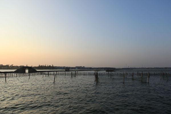绍兴镜湖湿地公园好玩的景点