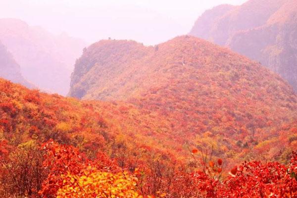 2021河南赏红叶最好的景点