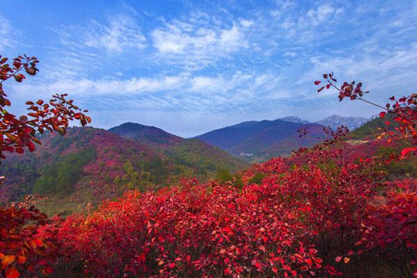 2021河南赏红叶最好的景点