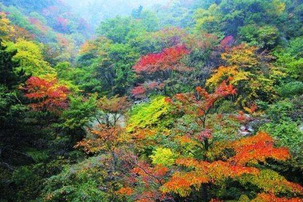2021河南赏红叶最好的景点