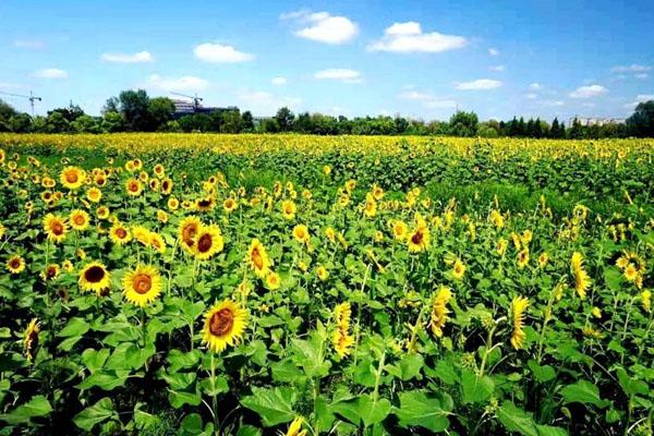 2021南通拍照打卡地点推荐