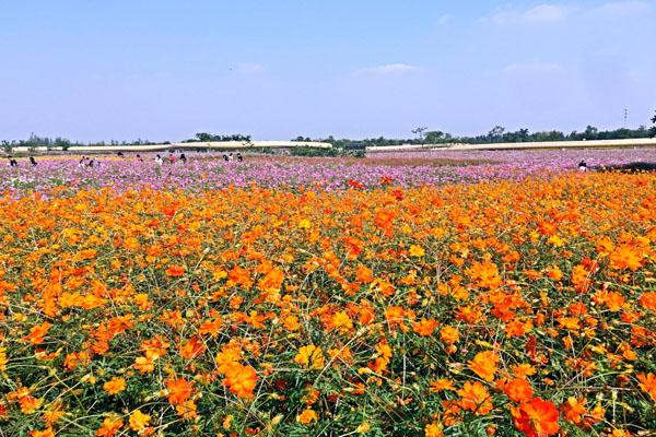宿迁三台山国家森林公园门票及游玩攻略
