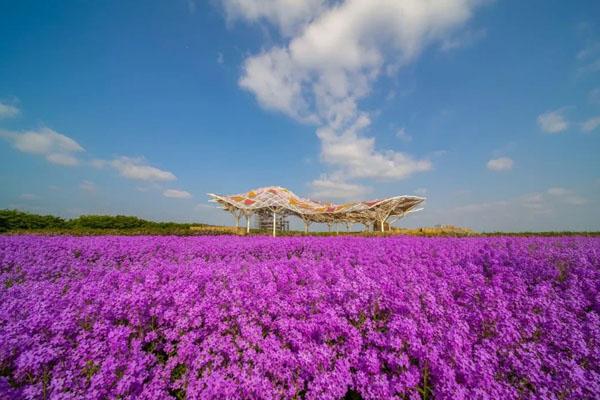 宿迁三台山国家森林公园门票及游玩攻略