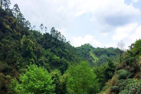 绵阳附近爬山的好地方有哪些