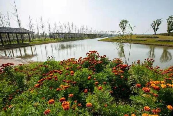 2021泰州鹿岛公园免费门票活动时间