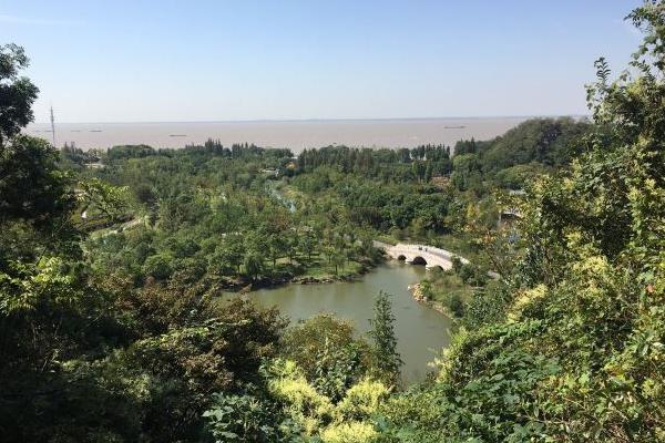 2021南通最佳赏桂花地点推荐