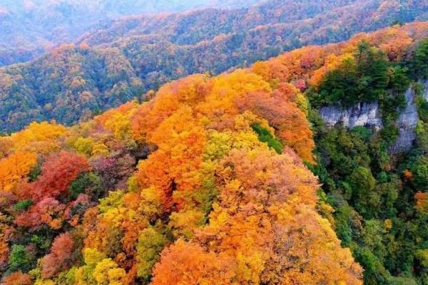 2021四川光雾山红叶节游玩攻略