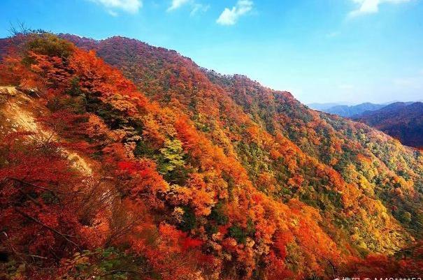 2021四川光雾山红叶节游玩攻略