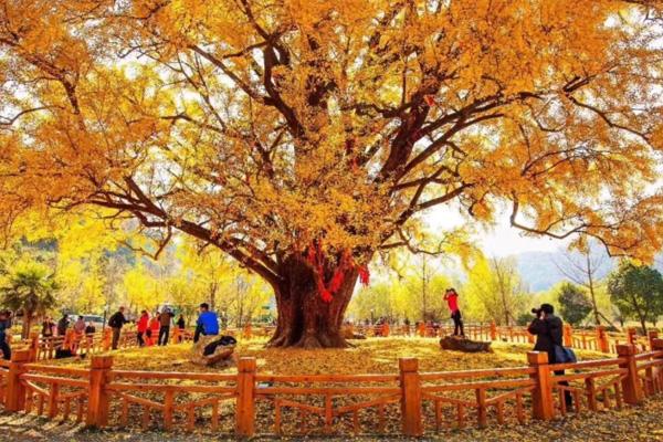 宜昌到日本旅游指南_行程安排_景点推荐