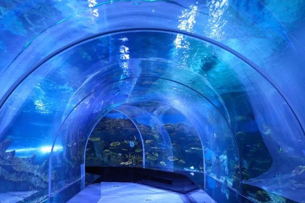 元旦去大连森林动物园旅游必备物品？你带了什么？