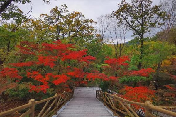 湛江适合孕妇的景点_适合孕妇在湛江旅游的景点_适合孕妇在湛江游玩的景点