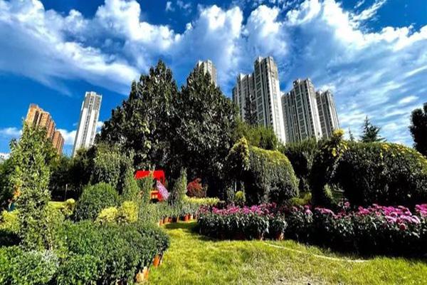 2021襄阳市菊花展赏花地点及攻略