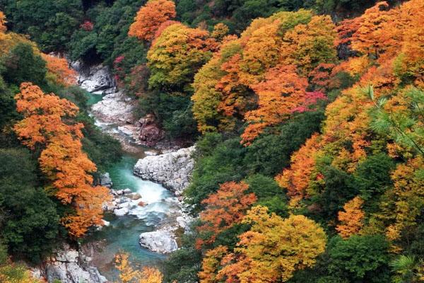 2021四川光雾山景区旅游路线