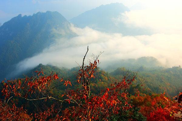 2021四川光雾山景区旅游路线