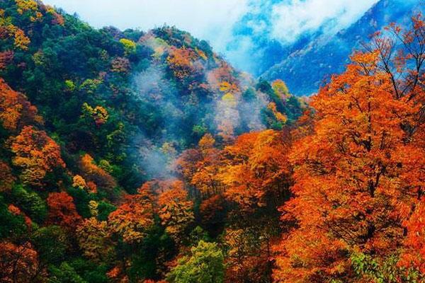 2021四川光雾山红叶节观光车票价及路线