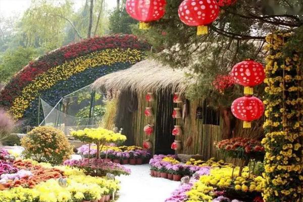 南通菊花展2021什么时候开始 