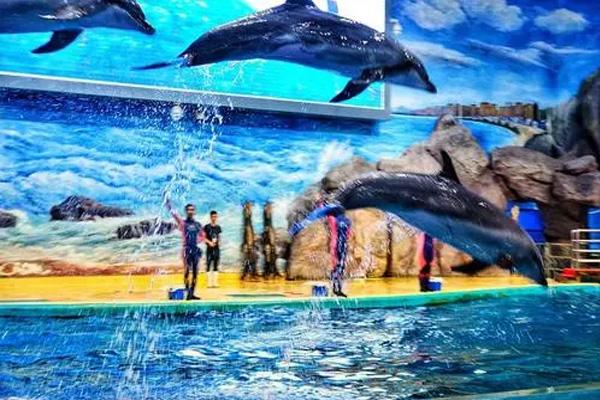 2021福州罗源湾海洋世界万圣节有什么活动