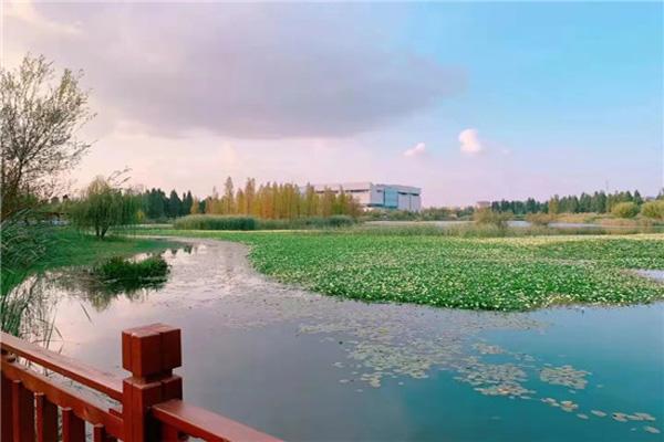 昆明扶荔宫和宝丰湿地免费开放了