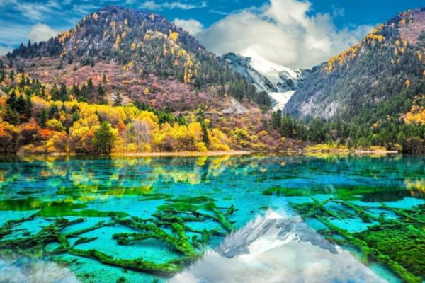 2021四川疫情期间暂停经营旅游专列业务通知