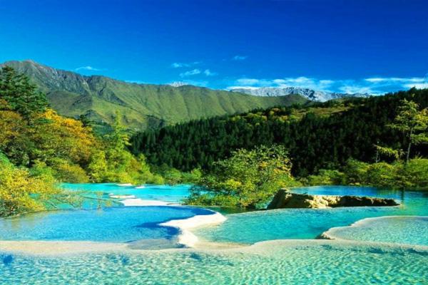 2021四川疫情期间暂停经营旅游专列业务通知