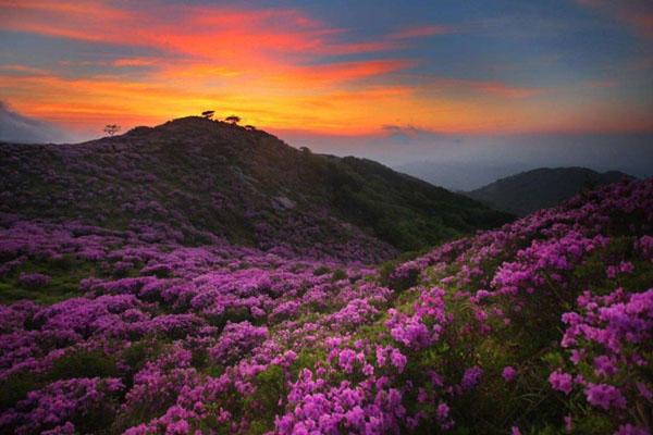 南昌磨盘山森林公园旅游攻略-线路推荐