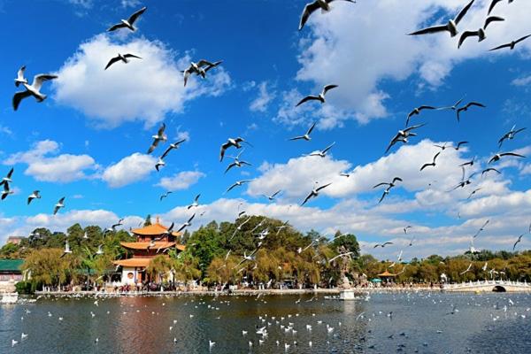 2021离开昆明需要核酸检测吗