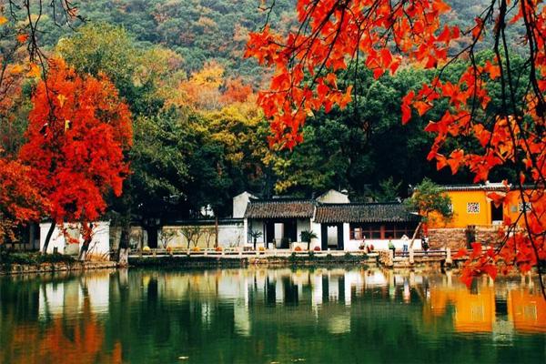 苏州最美枫叶林在什么地方