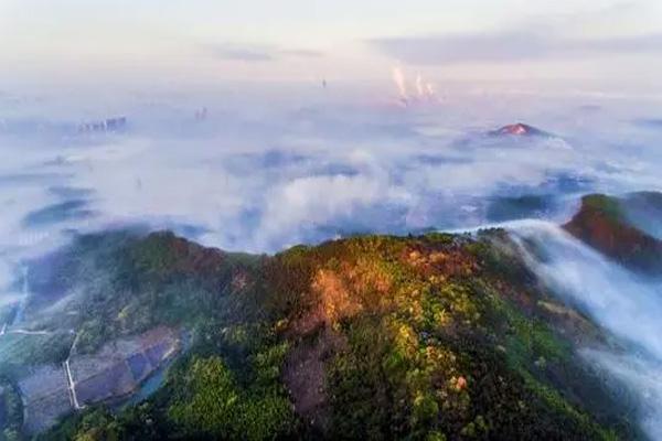 苏州最美枫叶林在什么地方