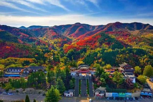 济南红叶谷中的红叶是什么树
