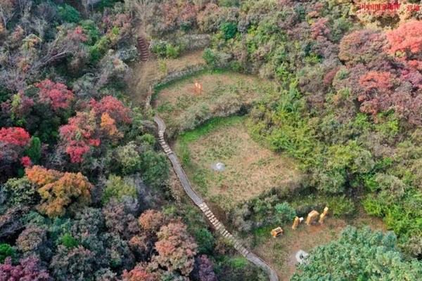 中国国家地理淄博营地在哪里 中国国家地理淄博营地面向公众开放
