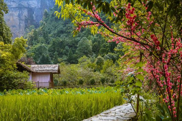 无锡阳山桃花源景区门票及游玩攻略