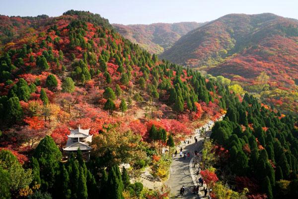 2021济南红叶谷红叶最佳观赏时间-旅游攻略