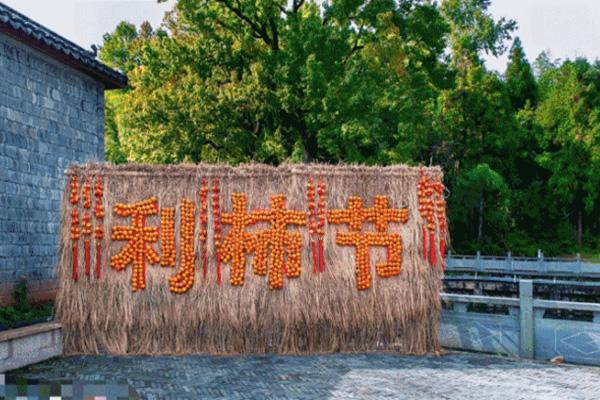 2021温州文成公阳云上利柿节参赛信息是什么
