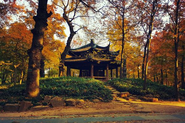 2021苏州天平山枫叶最佳观赏时间-旅游攻略