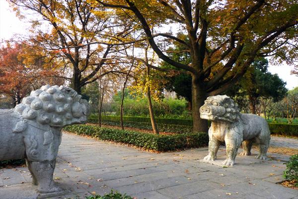 南京石像路秋色什么时候最漂亮 2021南京最美600米最佳拍照时间
