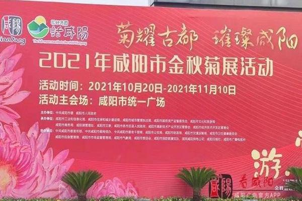 开封成为“穿越中国”游学站