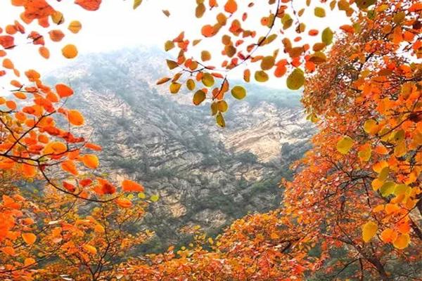 开封市开展全面整顿旅游市场秩序“暑期整治”行动 重点打击不合理低价旅游
