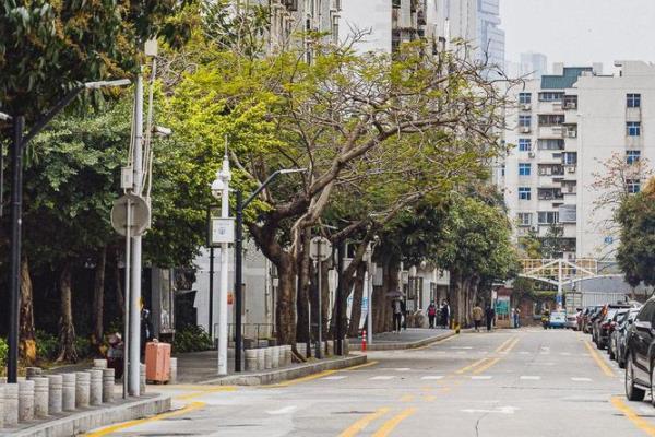 深圳智慧助老上车使用流程-使用范围