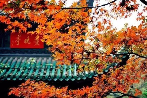 2021长沙8大赏枫绝佳地推荐