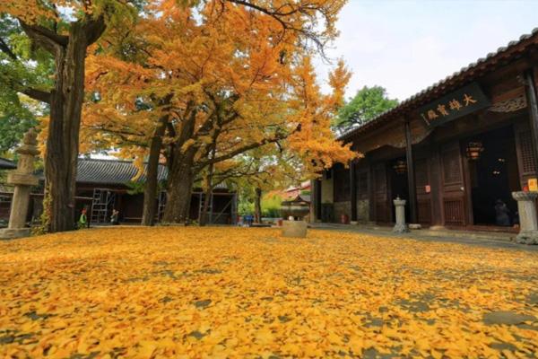 蚌埠哪里拍婚纱照_蚌埠哪里拍婚纱照_蚌埠哪里拍婚纱照
