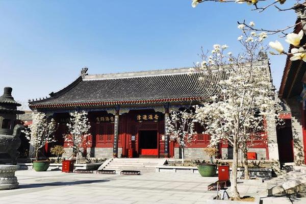 受疫情影响10月31日起天津市大悲禅院暂停开放通知