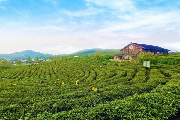 南京龙山赏心谷好玩嘛 南京龙山赏心谷在哪里