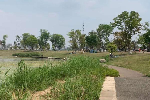 成都兴隆湖湿地公园有什么好玩的 成都兴隆湖可以露营吗