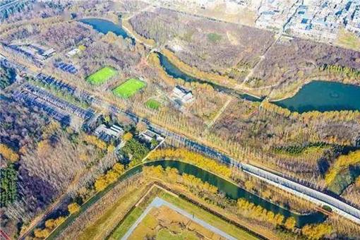 洛阳公园捡烟头兑换游乐体验券活动时间延长公告