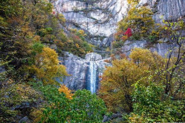 2021受暴雨疫情影响洛阳白云山年卡牛气卡延期