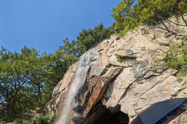 2021连云港花果山景区对属猴游客免票活动时间