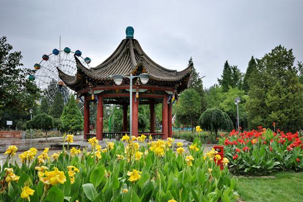 银川中山公园有什么好玩的地方-附旅游攻略